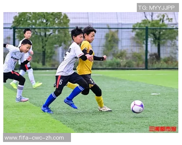 活力足球公园打造健康生活新方式助力青少年成长与团队精神培养