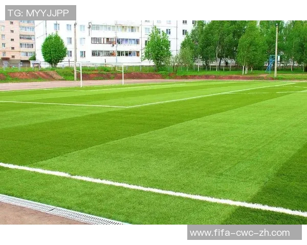 美国足球大联盟足球场的魅力与发展探讨及其对足球文化的影响 美国足球大联盟足球场的魅力与发展探讨及其对足球文化的影响